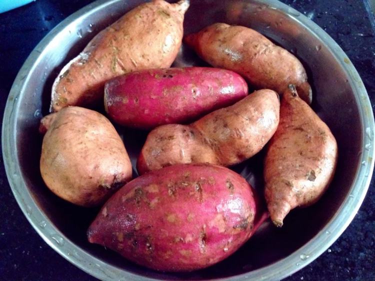 海鲜怪子的做法:揭秘宠物护理中的奇妙食谱